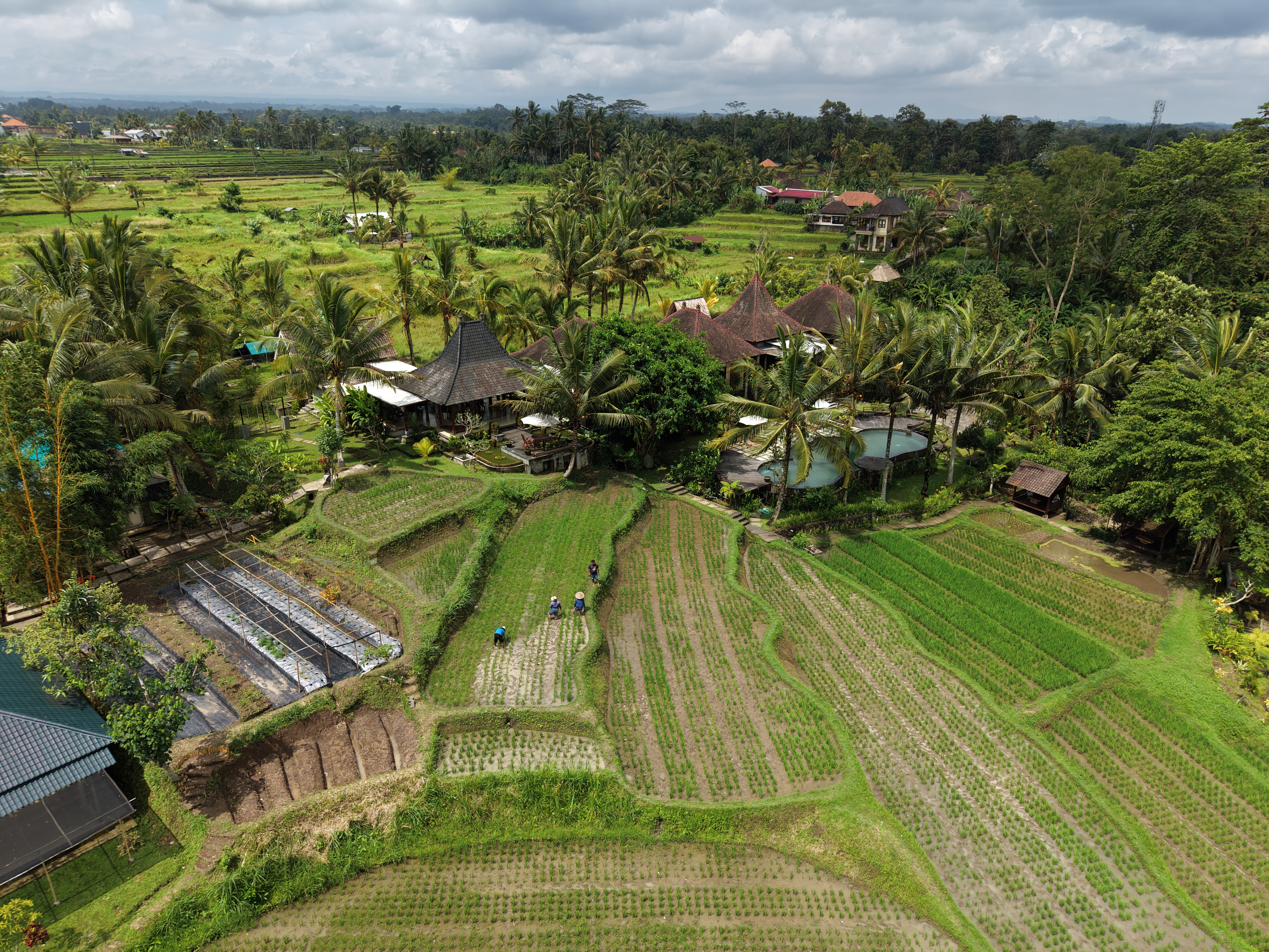 Bali Eco Farm Village